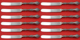 Old Orange Blossom by Alvin/Gorham Sterling Silver Dinner Knife blunt Set of 12