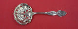 Pattern Unknown by Shiebler Sterling Nut Spoon pierced w/ iris 4 3/4"