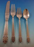 Northern Lights by International Sterling Silver Flatware 8 Set 48 Pieces Glossy