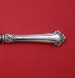 Albemarle by Gorham Sterling Silver Ham Slice Hollow Handle WS 11 1/2" Custom