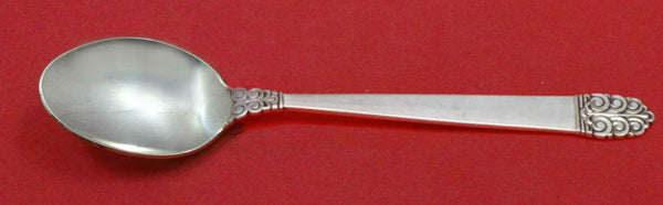 Northern Lights by International Sterling Silver Infant Feeding Spoon Custom 6"