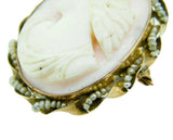 10k Yellow Gold Angel Skin Conch Shell Cameo Pin Pendant (#J337)