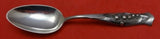 Flora by Shiebler Sterling Silver Teaspoon #8 5 5/8" Flatware Multi Motif