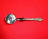 Silver Masterpiece by International Sterling Silver Coffee Scoop HH Custom 6"