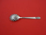 Colonial Classic by Reed and Barton Sterling Sugar Spoon shell 6 1/4"