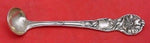 Wild Rose By Watson Sterling Silver Mustard Ladle Original 4 1/8"