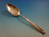 Stradivari by Wallace Sterling Silver Flatware Set For 12 Service 75 Pieces