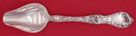 Les Cinq Fleurs by Reed and Barton Sterling Silver Pap/Medicine Spoon Blunt Nose
