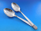 Northern Lights International Sterling Silver Flatware Set Service 88 pcs Dinner