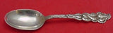Ailanthus by Tiffany and Co Sterling Silver Place Soup Spoon 7" Flatware