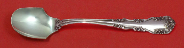 Wild Rose Old by International Sterling Silver Cheese Scoop 5 3/4" Custom Made