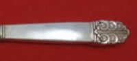 Northern Lights by International Sterling Silver Regular Knife 8 7/8" Flatware