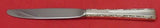Madrigal by Lunt Sterling Silver Regular Knife modern 9"