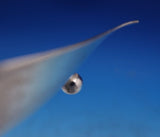 Tiffany and Co Sterling Silver Nut Dish Leaf Shape with Feet 1.25 ozt. (#7035)