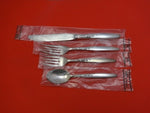 Summer Song by Lunt Sterling Silver Regular Size Place Setting(s) 4pc New