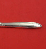 Silver Rhythm by International Sterling Silver Master Butter Hollow Handle 7"