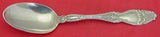 Cloeta by International Sterling Silver Serving Spoon 8 1/8" Tablespoon