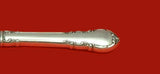 Modern Victorian by Lunt Sterling Silver Steak Carving Set 2-Piece 10 1/4"
