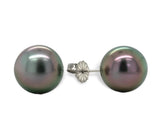 Fine Platinum Stud Earrings with 10.2mm Black Tahitian Pearls Jewelry (#J7120)