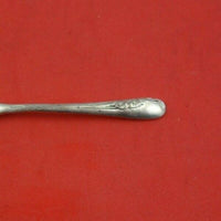 Blossom Time by International Sterling Silver Salt Spoon 2 3/8" Heirloom