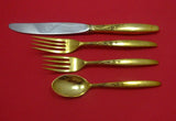 Summer Song Vermeil by Lunt Sterling Silver Regular Size Place Setting(s) 4pc