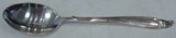 Sculptured Beauty by International Sterling Silver Teaspoon 6"