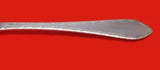 Feather Edge by Tiffany and Co Sterling Silver Olive Spoon Pierced Custom