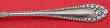 Kenilworth by International Sterling Silver Ice Cream Spoon Fancy 5"