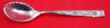 Vine by Tiffany and Co Sterling Silver Sorbet Spoon Ruffled w/ Iris 5 1/4" Mono