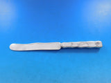 Lap Over Edge Acid Etched by Tiffany Sterling Dessert Knife HHAS Desert Plant