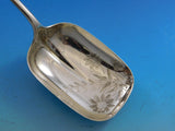 Brite-Cut by Unknown Sterling Silver Preserve Spoon w/ Ferns and Flowers 6 1/2"