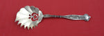Dresden by Whiting Sterling Silver Cucumber Server 6"