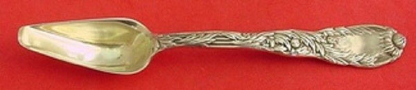 Chrysanthemum by Tiffany and Co Sterling Silver Medicine Spoon GW 5 5/8"