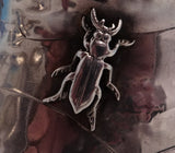 Shiebler Sterling Silver Tea Set Cabbage Mixed Metals Aesthetic 3pc #452 (#5673)