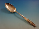 Stradivari by Wallace Sterling Silver Flatware Set For 12 Service 75 Pieces