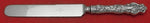 Irian by Wallace Sterling Silver Dinner Knife HH Blunt Silverplate 9 3/4"