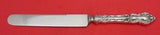 Meadow Rose by Wallace Sterling Silver Banquet Knife w/ Silverplate Blunt 10"