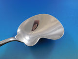 Olympian by Tiffany and Co Sterling Silver Berry Spoon HH AS Kidney Shape 9 3/8"