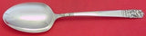 Casa Grande by Oneida Sterling Silver Serving Spoon 8 1/4" Vintage Silverware