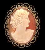 Gold Filled Genuine Natural Shell Cameo Brooch Pin Jewelry (#J7533)