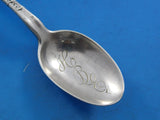 Lap Over Acid Etched by Tiffany Sterling Silver Parfait Spoon with Foliage 6"