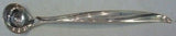 Pine Spray by International Sterling Silver Mustard Ladle Custom Made 4 3/4"