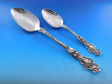 Irian by Wallace Sterling Silver Flatware Service for 12 Set 146 pieces Dinner