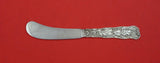 Saint Cloud by Gorham Sterling Silver Butter Spreader flat handle paddle 6 1/2"