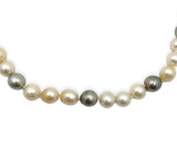 8.5-10mm Tahitian South Sea Pearl Multi-Color Necklace Jewelry (#J4414)