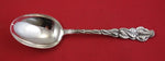 Ailanthus by Tiffany and Co Sterling Silver Vegetable Serving Spoon 9 1/2"