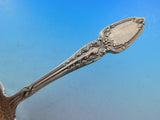 Broom Corn by Tiffany & Co. Sterling Silver Saratoga Chip Server Pierced 9" Rare