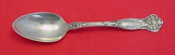 Carnation by Wallace Sterling Silver Teaspoon 6" Flatware Antique