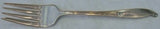 Wishing Star by Wallace Sterling Silver Salad Fork 6 3/8"