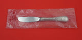 Antique Lily Engraved by Whiting Sterling Butter Spreader HH FS modern 6 1/4 New